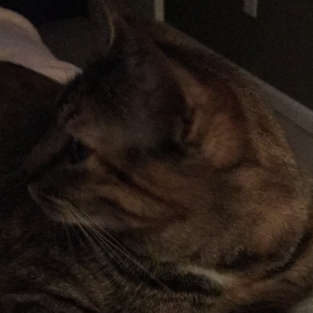 Meet your Posher, Jaden